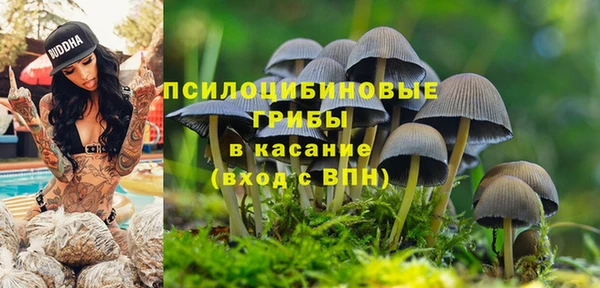 дмт Майский