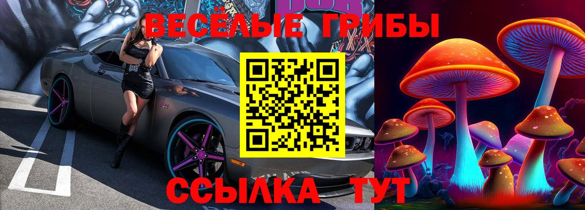 Галлюциногенные грибы Psilocybe Великий Новгород