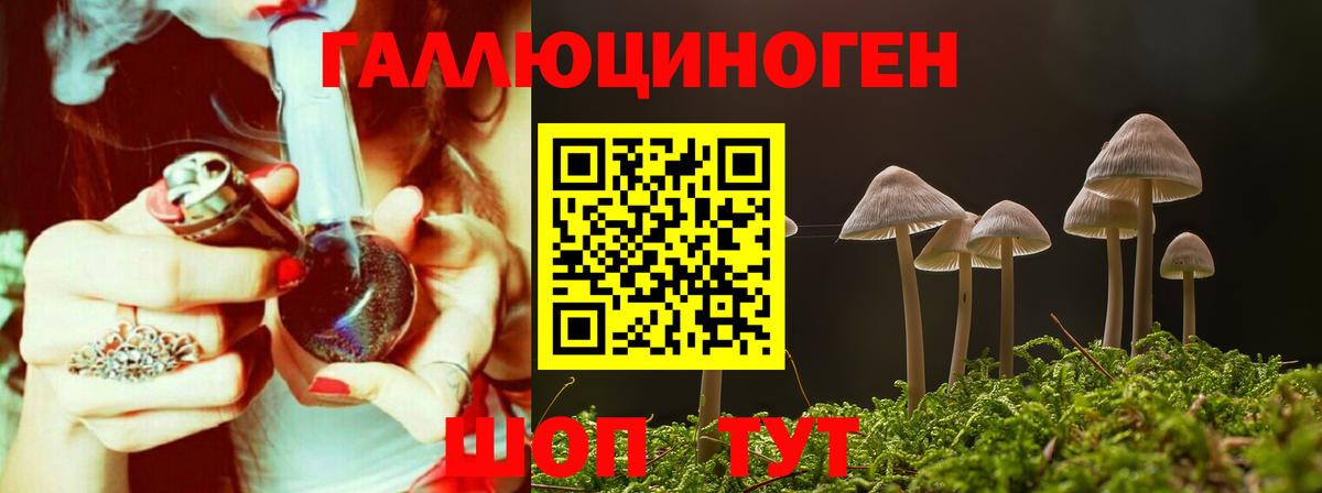 Галлюциногенные грибы MAGIC MUSHROOMS  Великий Новгород 