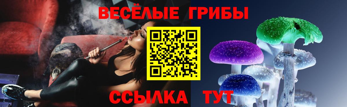 Галлюциногенные грибы мухоморы Великий Новгород