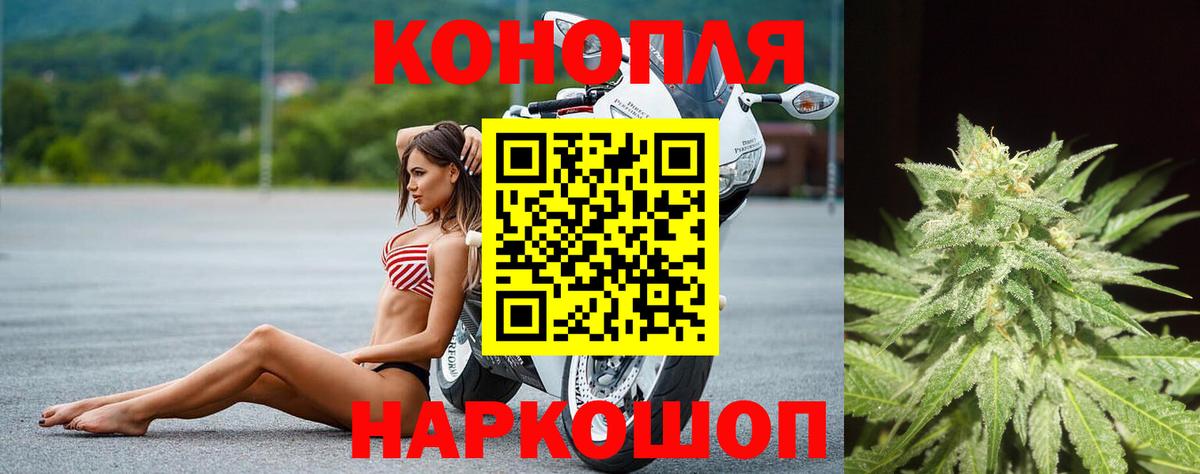 Канабис конопля Великий Новгород